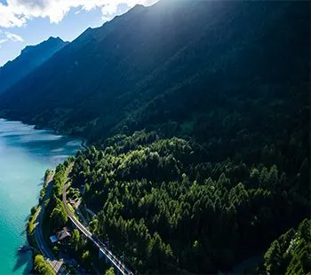 Lake shore and forested mountains from above