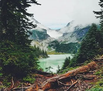 Mountain lake framed by evergreen trees